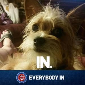 Meet your Posher, Connie